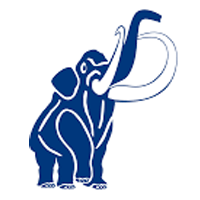 MAMMUT DIESEL
